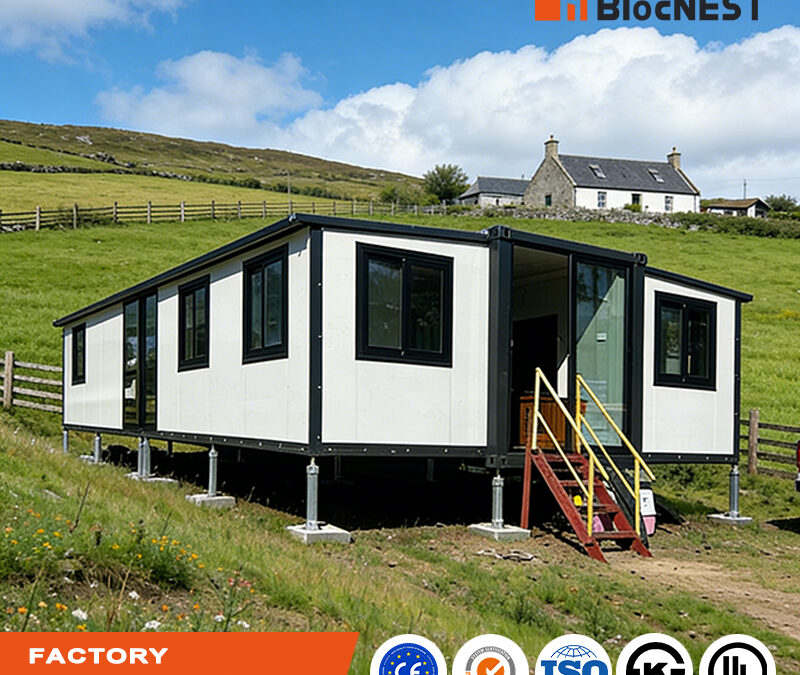 20 Years of Excellence:Blocnest Metal Celebrates a Milestone